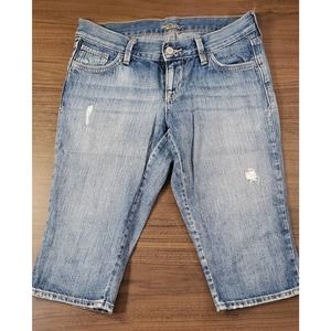 The Diva Jean Shorts  Size 2